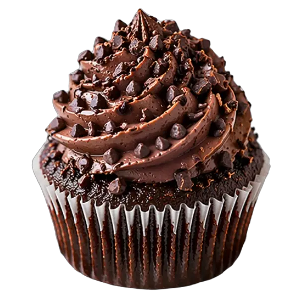 Chocolate Chocolate Chip cupcake from Bakers Boutique