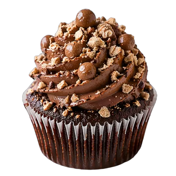 Chocolate Malt cupcake from Bakers Boutique