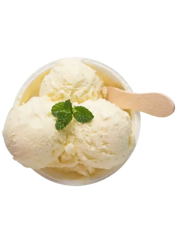 A bowl with two scoops of vanilla ice cream, garnished with a sprig of mint, and a small wooden spoon resting on the side.